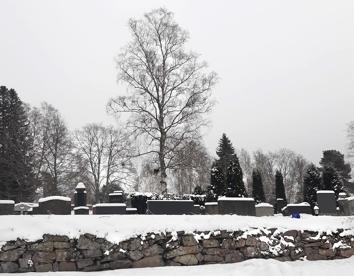 Nurmijärven hauttausmaa talvi B 2024-01-11 HeTa VAAKA.jpg