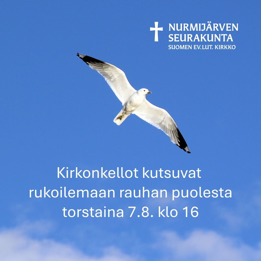 Lintu lentää korkealla sinisellä taivaalla