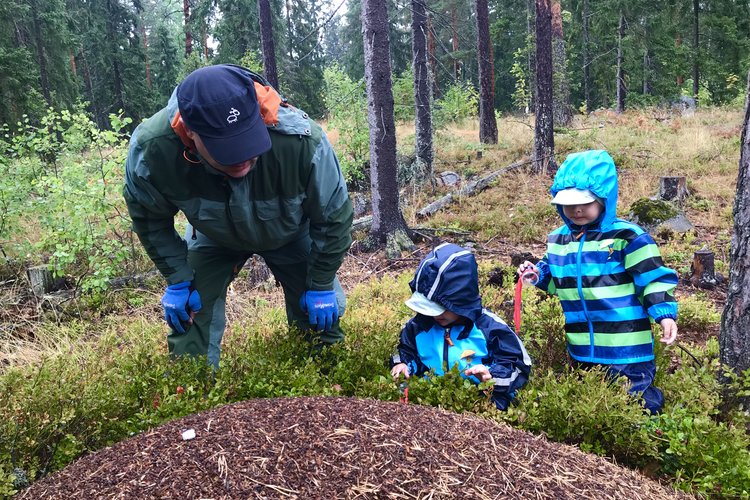Perheiden metsäretkipäivä Perheiden metsäretkipäivä