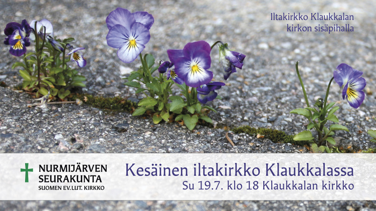 Pienet orvokit kasvavat asvaltin raosta.