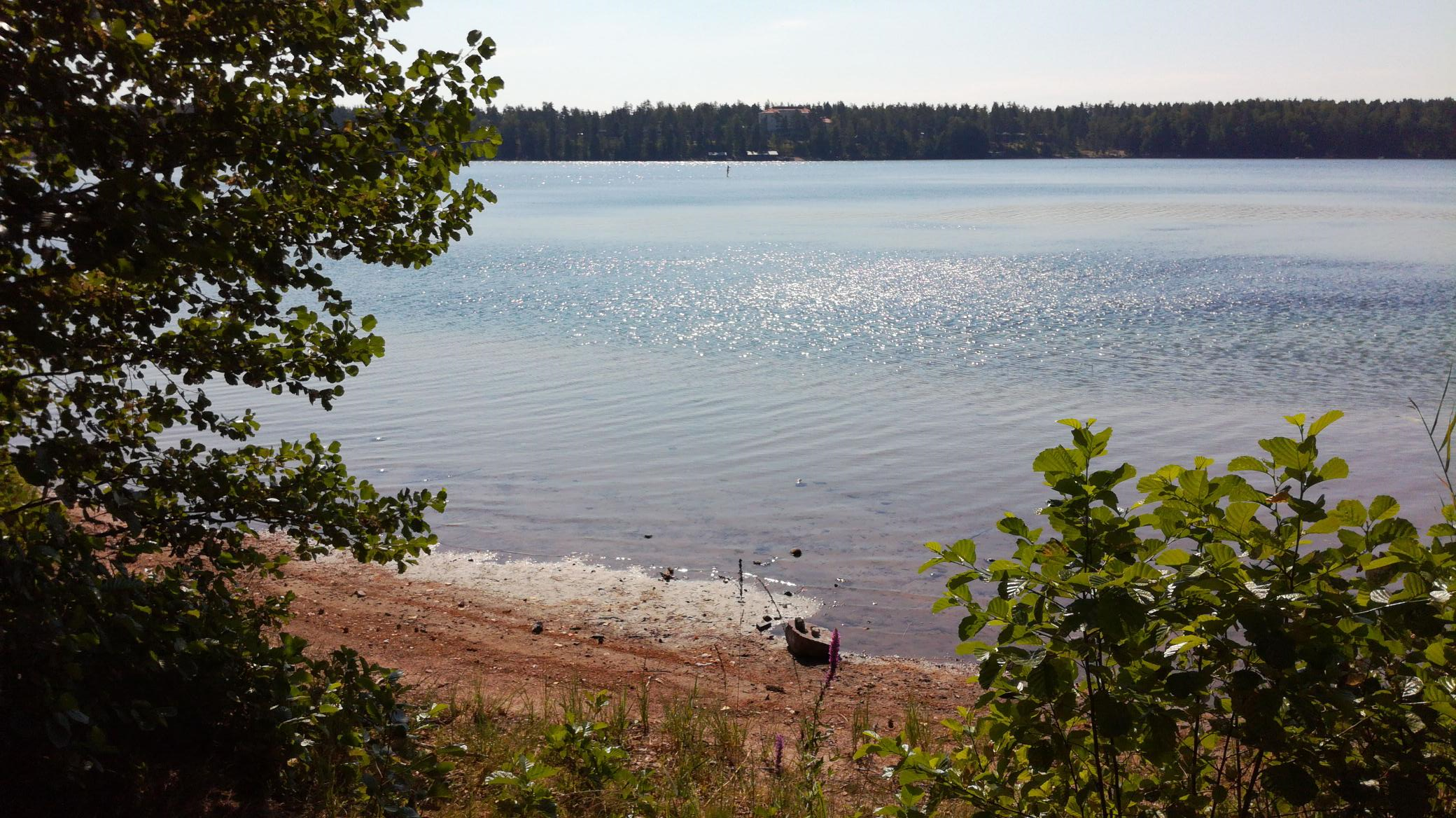 Sääksin ranta