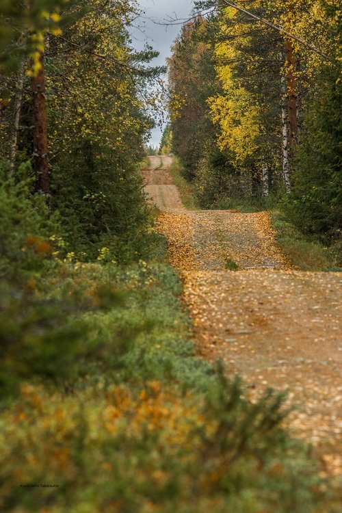 Matkalla yhdessä -liikuntatapahtuma Matkalla yhdessä -liikuntatapahtuma